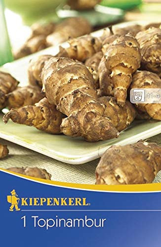 Kiepenkerl