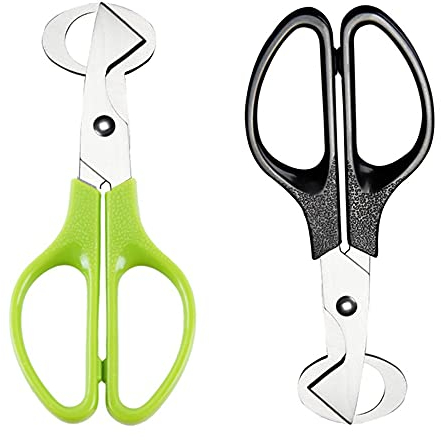 Dzsomt Caille Ciseaux 2 Pièces Ciseaux à Oeufs De Caille Acier Inoxydable Caille Ciseaux Oeuf Shell Cutter Acier Inoxydable Ouvre Coquille d'Oeuf Caille Oeuf Shell Cutters Coupe-Œufs