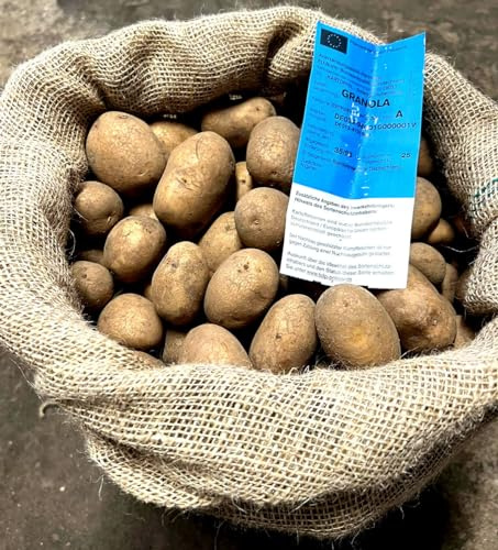 Pflanzkartoffeln Granola 10 kg Setzkartoffeln Saatkartoffeln Setzlinge