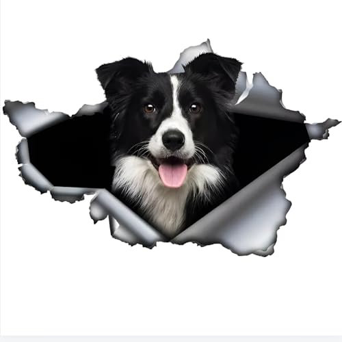 Autoaufkleber Border Collie Aufkleber 18cm(7.1 Inch) Border Collie Car Sticker 3D Zerrissen Autoaufkleber Border Collie Reflektierende Aufkleber Stoßstange Lustig Dekor Wasserdichte Sticker