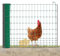 AKO PoultryNet Premium Geflügelnetz - 25m Elektrozaun, 106cm hoch, mit 9 fiberglas-verstärkten Pfählen, Doppelspitze, robust & UV-beständig, grün, Hühnerzaun