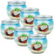 HS Candle Duftkerzen Motiv 6er Pack im Glas, lange Brenndauer und angenehmer Duft (Coconut)