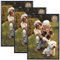HIMEETIME® 3x Bilderrahmen A4 21x30 cm Schwarz Metall Rahmen,Dokumentenrahmen 21x29,7 cm Klein Collage, Metallrahmen Alu-Bilderrahmen