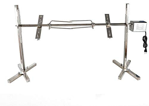 Kit de brochettes pour barbecue avec moteur 20 W - En acier inoxydable - Pour cochon de lait - Tournebroche pour feu de camp, camping et jardin - Torque 50-70 kg