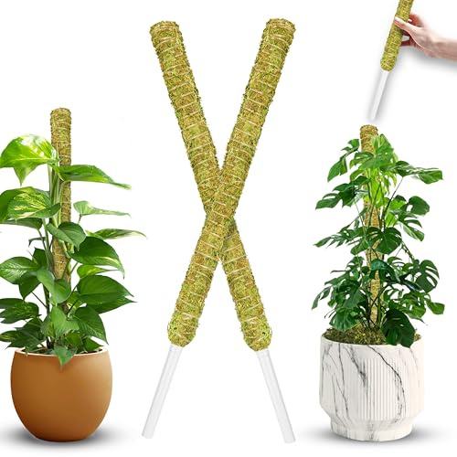 DUSPRO Lot de 2 poteaux en mousse naturels empilables pour plantes Monstera, bâtons de mousse forestière, support de plante Monstera, piquets de plantes faits à la main pour plantes d'intérieur pour