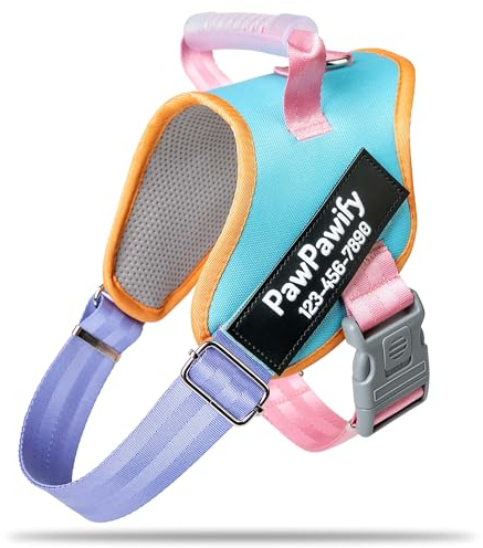 PawPawify Hundegeschirr mit Namen und Telefonnummer, personalisierbar, für Training und Spazierengehen, strapazierfähig, personalisierbar, um Zerren, Ziehen oder Ersticken zu verhindern