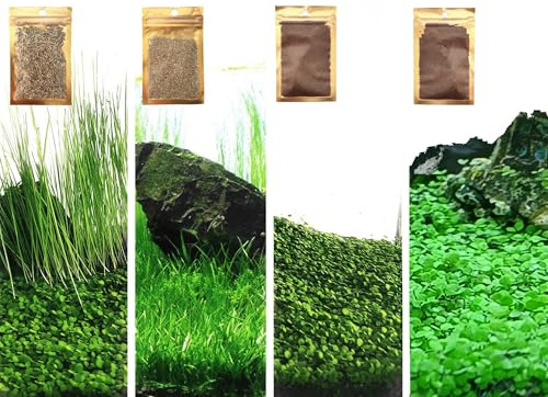 Planta de acuario 4 en 1, S.e.e.ds, sin planta de plástico artificial, hierba viva para pecera, se adapta a todos los sustratos (0.36 onzas de pequeño + 0.36 onzas de largo + 0.3 onzas de corto + 0.3