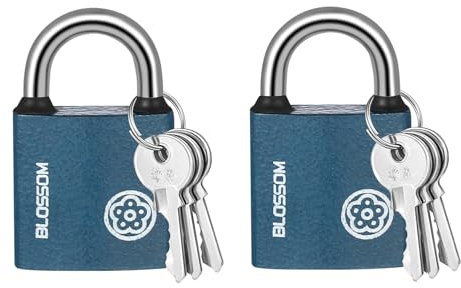 Portátil Candado Maleta,2 PCS Candado con Llave Candado Seguridad Candado de Acero Antioxidable Resistente a la Intemperie para Bolsas de Viaje Garaje Taquilla de Gimnasio Bicicleta Equipaje