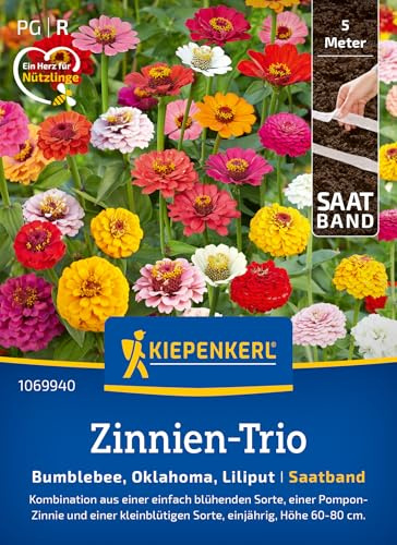 Kiepenkerl Zinnien-Triosamen Bumblebee 1069940, Oklahoma, Liliput | Blumenwiese, Höhe 60-80 cm, einjährig