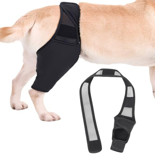 YUVKIN 1 Pcs Knieschützer für Hunde, Stütze für Hinterbeine von Hunden, aus Neopren, geeignet für Kreuzbandrisse, Bänderverletzungen, Patellaluxation oder Osteoarthritis (Größe XL)