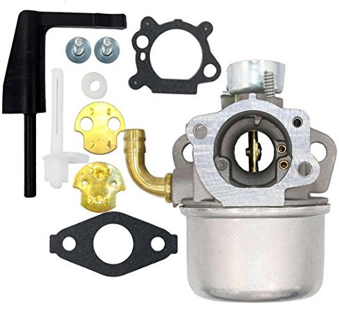 Carburateur pour motoculteur Briggs & Stratton Craftsman Intek 190 6 HP 206 5,5 HP