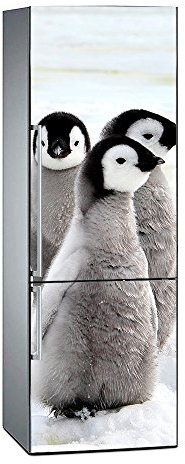 Fridge Vinyl Penguin | Several Measures | Elegant Design and Durable 185 x 70 cm