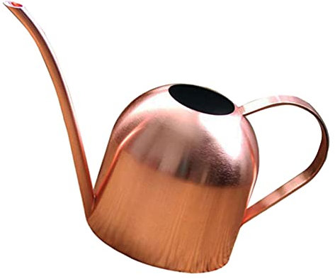 Cabilock 1 Pc Arrosoir en INOX Mini Bouilloire Arrosage Fourniture De Jardin Arrosoir Créatif Bouilloire Pratique Petite d'eau Acier Inoxydable Intérieur Buse