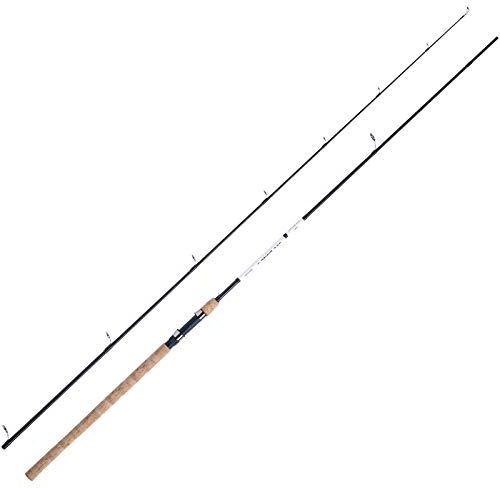 WFT Meerforellenrute Angeln Rute Meerforelle - XK Bone Seatrout 3,05m 10-32g