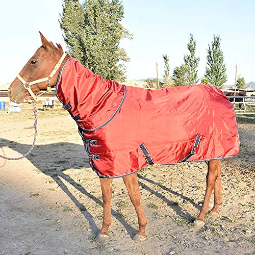 Pferde Decken Highneck Winterdecke 300g Turnout medium Black Turquoise Weidedecke Winterdecke 115cm-165cm,Rot,Length 145cm