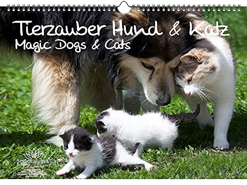 Tierzauber Hund und Katz DIN A3 Kalender - Immerwährender Kalender Haustiere - Seelenzauber