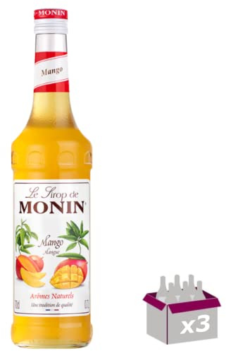 Lot de 3 Sirop - Mangue - 70cL