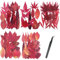 Cayway Natürlich Getrocknete Blumen Gepresste Blumen zum Basteln Blüten Getrocknet, 5 Packung Rotes Ahornblatt Gepresste Trockenblumen für Harz Gepresste Blüten Scrapbooking Blumen