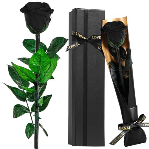 Touloube Rosa Stabilizzata Regalo per la Festa Della Mamma per Donne - Vera Eterna Rosa Nera Fiori Regalo, Idee Regalo Donna Compleanno Anniversario Per Lei, Regali Mamma Fidanzata Moglie Sorella