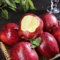 apfelbaum samen exotische pflanzen samen garten geschenk hochbeet samen bio saatgut alte sorten sukkulenten samen extrem winterharte kübelpflanzen säulenobstbäume garten obst samen 35pcs