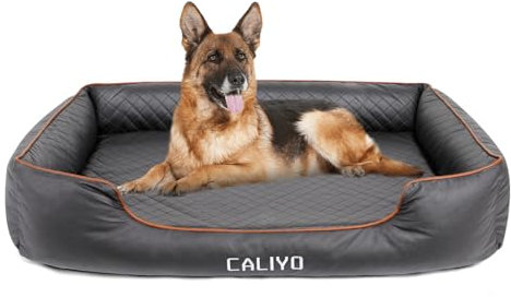 CALIYO Orthopädisches Hundebett Mittelgroße & Grosse Hunde – Hundekissen aus Kunstleder, Wasserdicht & Waschbar, Memory Foam Hundesofa mit 4 Rändern, Hundematte 104×75×20CM, Schwarz