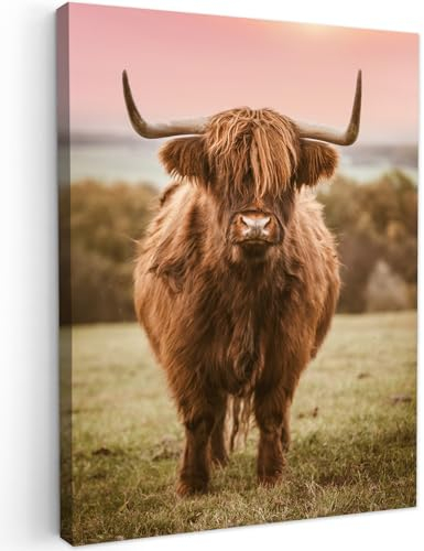 MuchoWow Leinwand Bilder, Einzigartige Wanddeko mit Rahmen, Schottischer Highlander - Kuh - Horizont, Wandbilder Wohnzimmer, Deko Schlafzimmer 90x120 cm