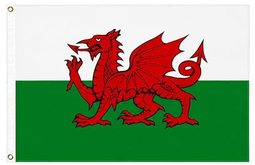 Wales Dragon Cymru Flag 8ft x 5ft with Brass Eyelets – Large Polyester Welsh Flag Banner for Football Matches, Rugby Supporters, St David’s Day and Indoor Outdoor Home & Garden Display