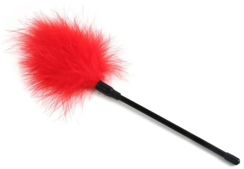 Hdynasty Baguette en Plumes Multicolore Jouet de grattage en Plumes Alternatif pour Les Femmes (Rouge, 1)