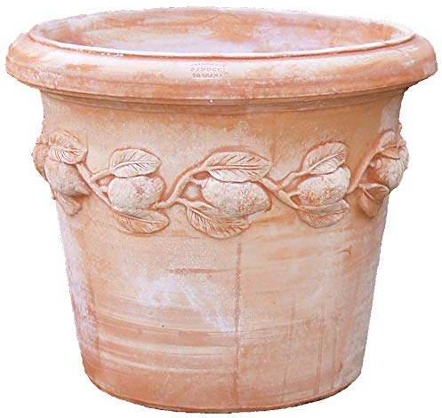 Pot de cache-pot Terracotta Frost Lave-vaisselle qualité Ware Siena Conca Classica Festone limoni Liscia de blumenkübelxxl 25 cm Limoni