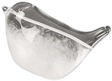 Sturmglasvogel - Wetterstation Aus Sturmglas, Wettervorhersage Aus Glas, Desktop-Wetterstation, Shape Glass Wettervorhersage Desktop- Für Zuhause Und Büro