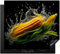 KitchenYeah© Protege Plaque Induction 60x52 cm Deco Gadget Cuisine Accessoires Pratique Protection De Vitroceramique Maïs - Légume - Noir - Eau