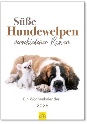 Edition Seidel Premium Kalender Süße Hundewelpen verschiedener Rassen Wochenkalender 2026 Format DIN A4 Wandkalender Tierkalender Tiere Hunde