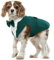 Hunde Smoking Hochzeit, Hochzeitsoutfit Hund Fliege Hochzeit Hunde Anzug für Hochzeit Dog Tuxedo Wedding Smoking Hochzeit(Dunkelgrün, L)