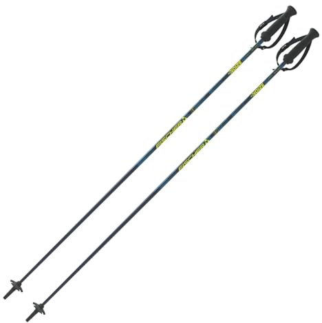 Skistöcke Fischer RC4 Noize - Alpin Ski Stöcke - hochwertiger Aluminium Skistock - Allmountain Pistenstock - Unisex - ergonomischer Griff - verstellbare Handschlaufe