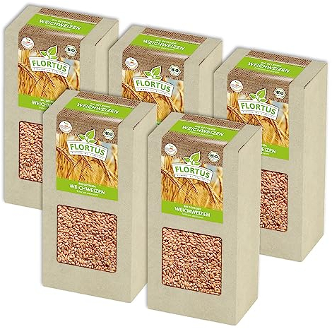 FLORTUS BIO Weichweizen Getreide Samen 1kg | Ertragreicher Weizen zur Herstellung von Mehl Weizenkleie Katzengras & Microgreens | Sprossen Samen