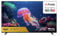 Bûsh 65 Inch Smart 4K UHD HDR LED Freely TV