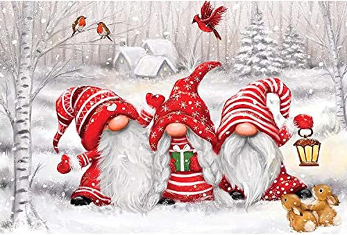 Christmas Gnomes Winter Snow DIY Cross Stitch Art Craft 16x20 inch Fabric with Accessories, 11ct Pre Printed Stamped Embroidery Kits for Adults Beginners (Red)