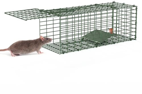 Qianruida Rattenfalle Lebendfalle 30x11x11cm Mäusefalle Tierfalle Rattenfallen Lebendfallen