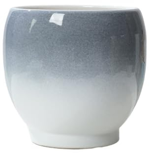 DFHS46JK Pflanzentöpfe Home Nordic Style Light Luxury Großer Schmetterlings-Orchideentopf Tiger Skin Orchidee Hochfuß-Bodenblumentopf Blumentöpfe