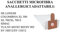 D301MF SACCHI FILTRO SACCHETTI COMPATIBILE CON DE LONGHI COLOMBINA XL 500 XL 700 SIMAC TUA SV 10pz