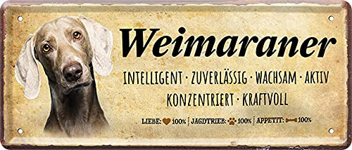 WOGEKA ART Retro Blechschild - Weimaraner Hunde-Rasse Steckbrief - witziger Spruch als Geschenk-Idee zum Geburtstag Weihnachten zur Dekoration 20x30 cm Vintage-Design Metall 881