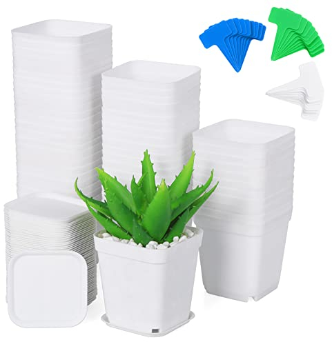 Moendergo Vasi in Plastica per Piante, 7cm Quadrato Vaso Piccolo con Vassoio di Drenaggio, Vaso da Giardino Serpente, Aloe e Piante Domestiche (Bianco)