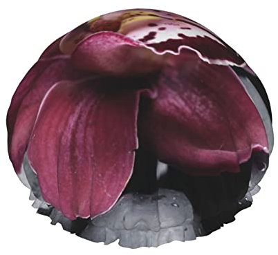 Bonnet de douche imprimé galets de fleurs - Bonnet de bain imperméable - S'adapte à toutes les tailles de tête et toutes les textures de cheveux pour femme