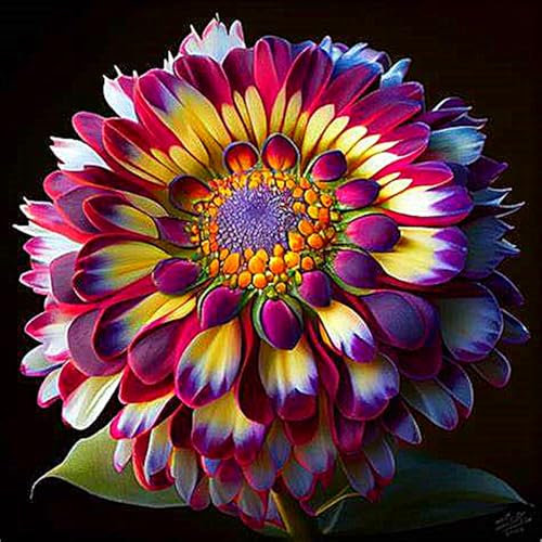 Dahlienzwiebeln, Dahlien Knollen,Blumenzwiebeln,Winterhart,Winterhart MehrjäHrig,Stauden,Gartenpflanzen,GroßE Blumen,Dahlien Knollen Winterhart