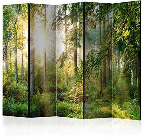 murando Raumteiler Foto Paravent Wald 225x172 cm beidseitig auf Vlies-Leinwand Bedruckt Trennwand Spanische Wand Sichtschutz Raumtrenner Home Office Natur c-C-0032-z-c