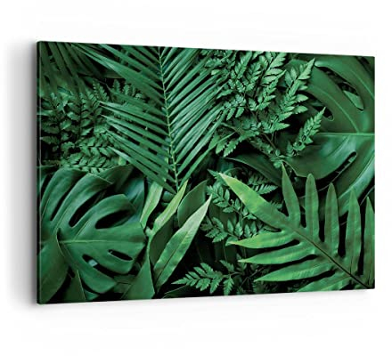 Wandbilder Dekoration Wohnzimmer Exotisch Blätter Monstera Bilder auf Leinwand 120x80cm Leinwandbild Schlafzimmer Küche Deko Wand Kunstdruck Art Groß XXL Wanddeko Bild Wall Decor Canvas AA120x80-4746