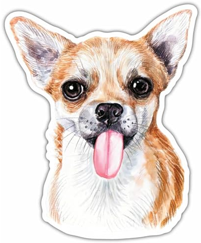 Samunshi® Frecher Chihuahua Aufkleber Autoaufkleber für Motorrad Fahrrad Roller oder Auto Sticker Fahrrad Mtb Mountainbike Rennrad Hund Dog Dogo 10cm Frecher Chihuahua