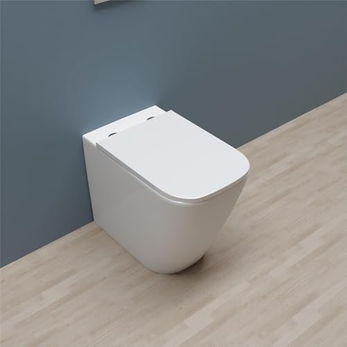 AICA WC à poser Sans Bride Rimless Avec Abattant Soft-Close 54x36x42cm