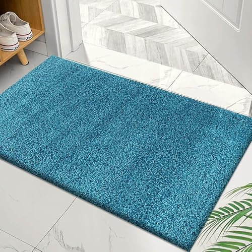 Fit Even Dream Shaggy Door Mat - Non-Slip Doormat, Suitable for Indoor/Outdoor Use, Heavy Duty Dirt Trapper and Water Absorbent – (Teal, 50x80 cm)