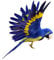 LOVIVER Taubenschreck Vogelschreck Taubenabwehr Vogelabwehr Vogel Figur Dekofigur - Papagei Blau